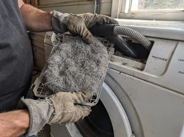 Cleaning Dryer Lint Trap in Pasadena